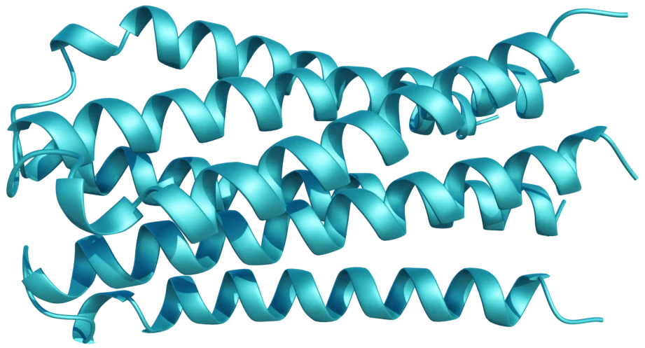 Crystallographic structure from PDB 1QR9